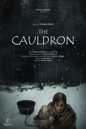 Cauldron poster