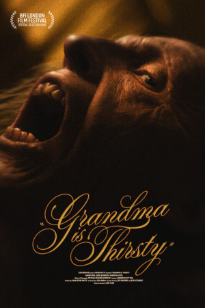 Grandma poster