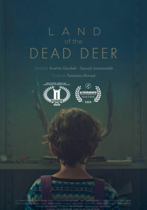 LOTDD poster