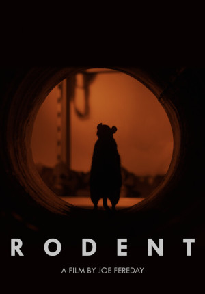 rodent poster